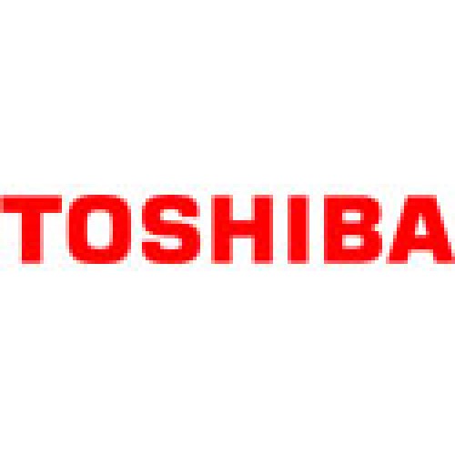 Compresoare Toshiba